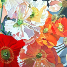 “Poppies” 40x50cm,  private collection, New York, USA.