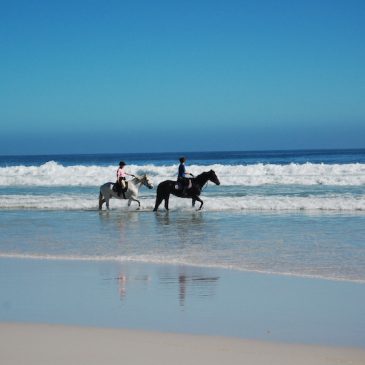 Life in Cape Town. Noordhoek Beach 